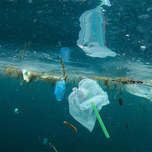 Nước nhiễm dư lượng hợp chất hữu cơ