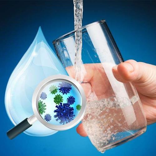 Vi khuẩn có hại trong nước bị ô nhiễm